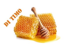 Miele di Timo Biologico
