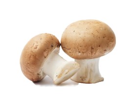 Funghi Prataioli Biologici