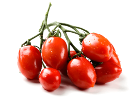 Pomodoro Piccadilly bio