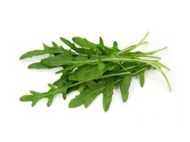 Rucola biologica